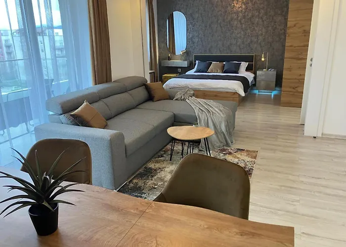 Apartment Elite Graurului *